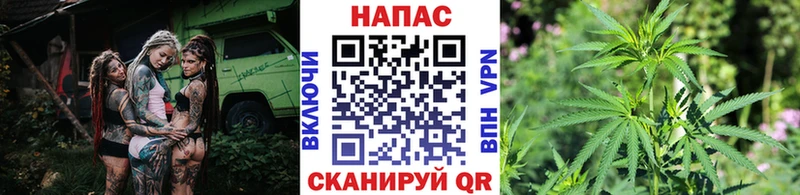 Бошки Шишки планчик Почеп